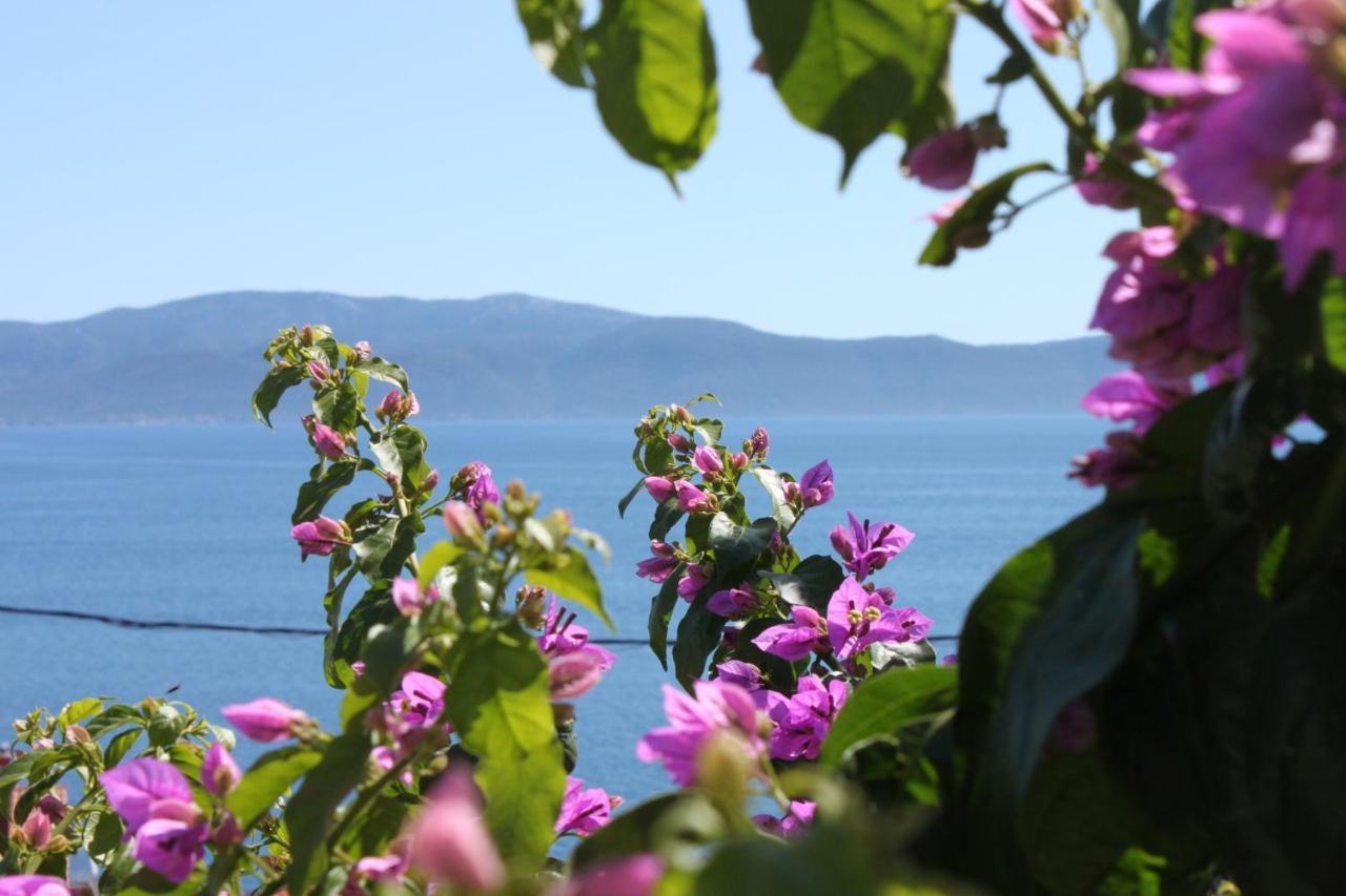 Apartments By The Sea Podaca, Makarska - 6745 エクステリア 写真